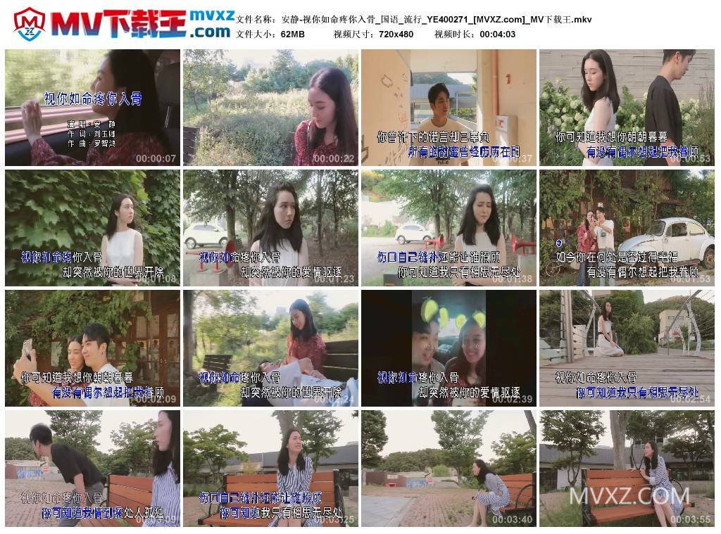 安静-视你如命疼你入骨_国语_流行_YE400271